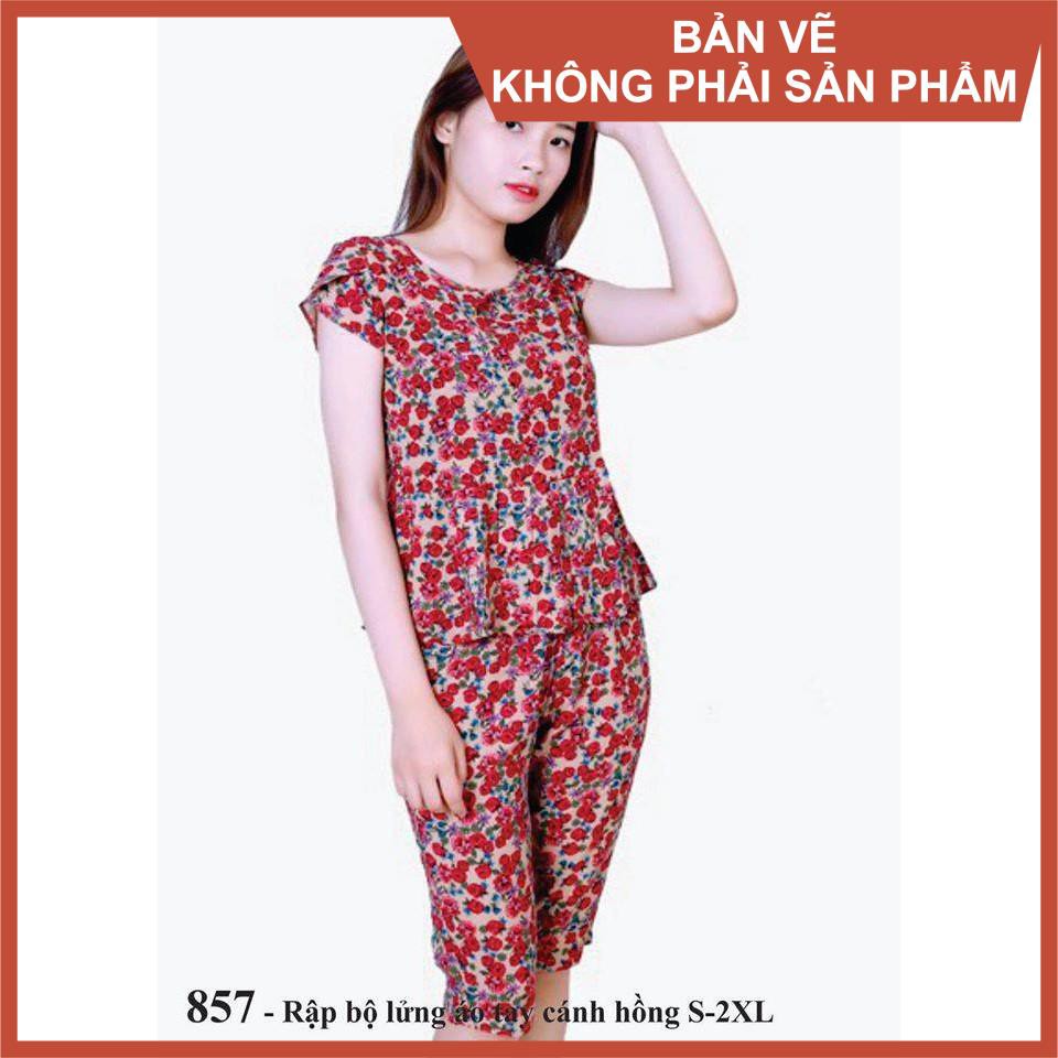 Rập bộ lửng - rập giấy mã 857