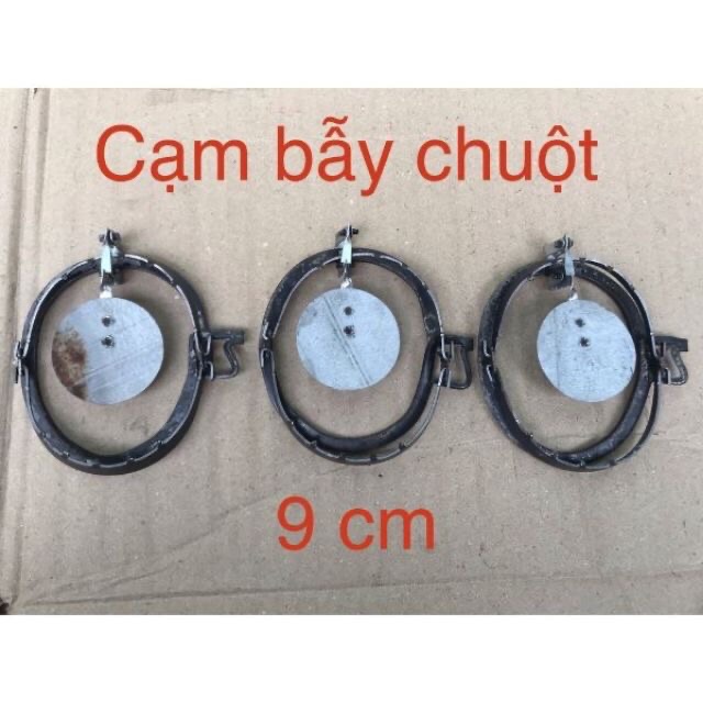 10 Cạm bẫy chuột không mồi  9cm