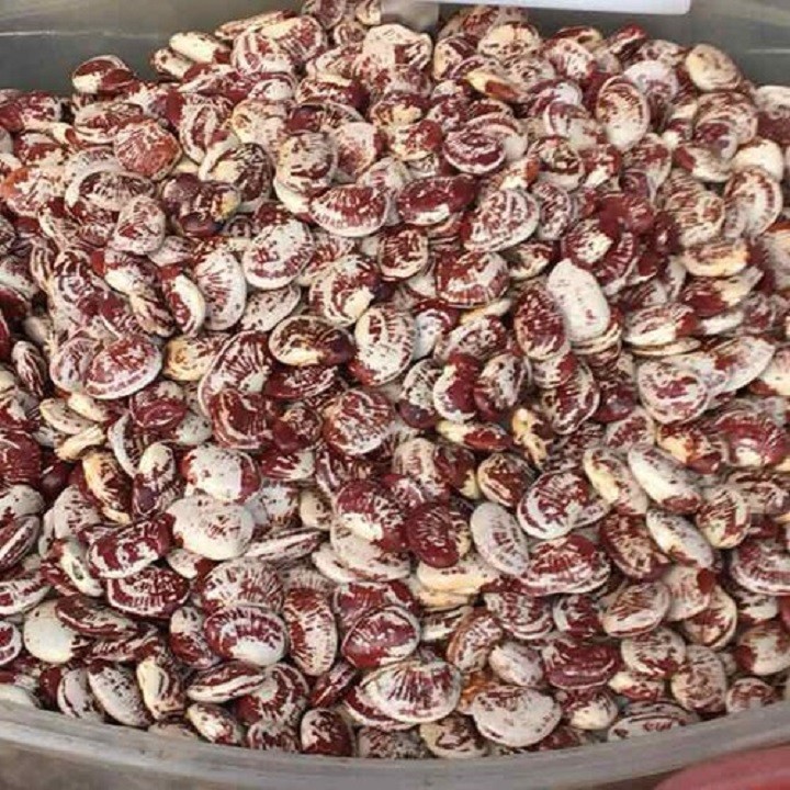 500G đậu ngự đà lạt hạt to - đậu ngự
