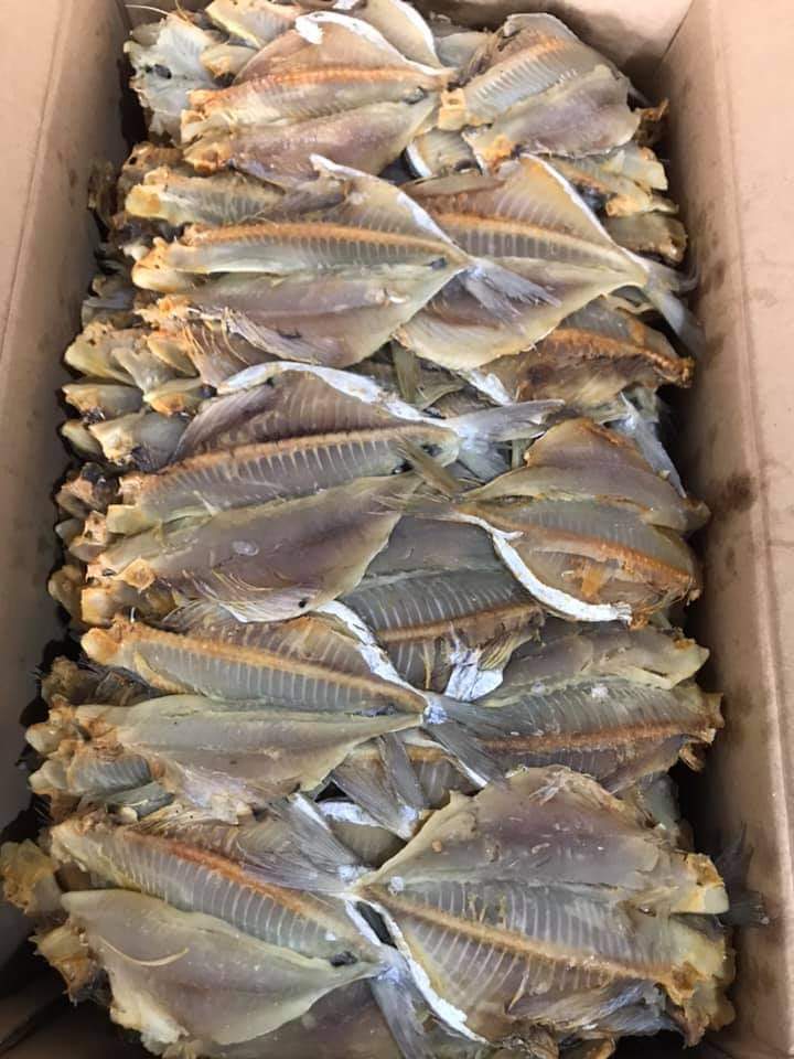 1kg cá sứa (cá hạt bí) khô thịt béo, thơm