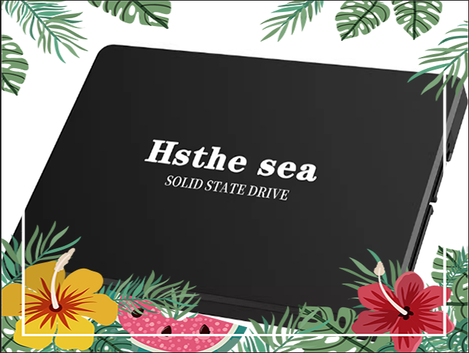 Ổ Cứng SSD Hsthesea 120GB - 240 G