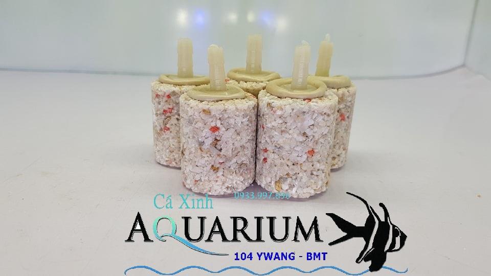 Combo 5 viên sủi oxi lớn siêu bền