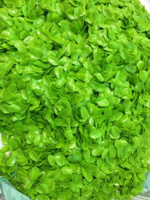 Vảy rồng nhựa làm cháp 1kg