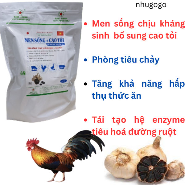 Men sống cao tỏi sumi gói qui cách 100 gram men tiêu hoá cho gà