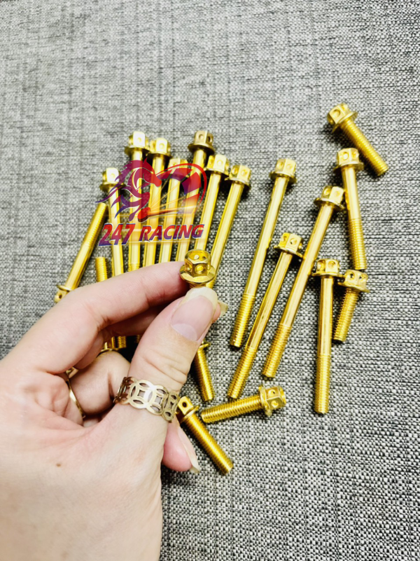 Ốc Lốc Máy Xi Vàng dành cho Dream, Wave 22 con ốc