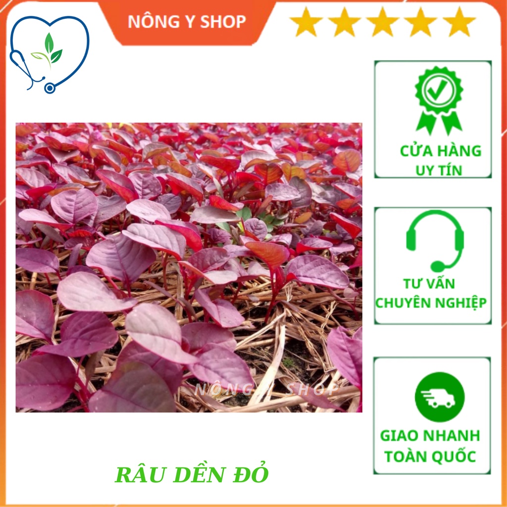 (Túi zip ~300 hạt - Trồng thử) - Hạt giống rau dền đỏ Rạng Đông RADO 15