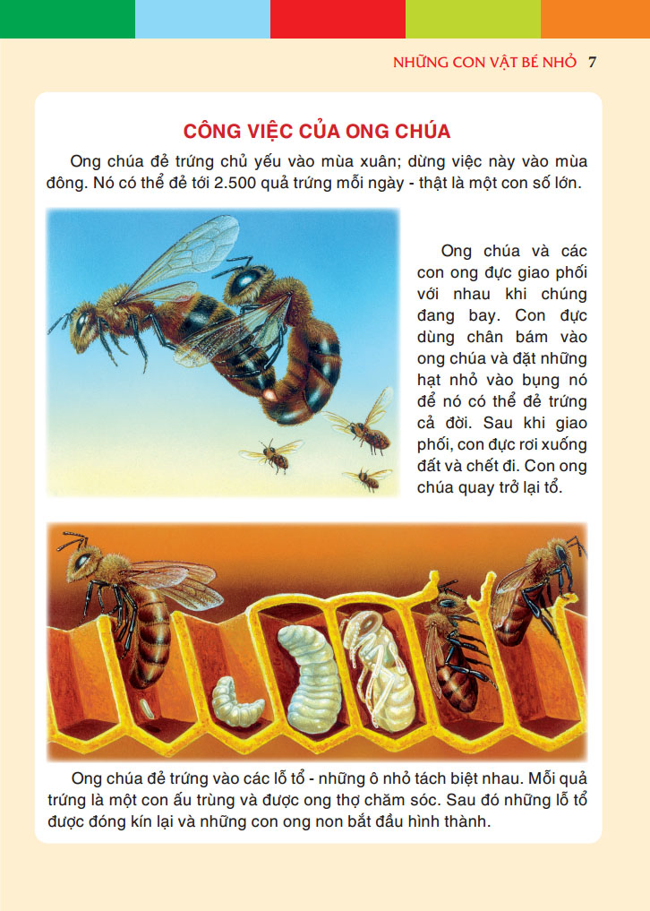 Những con vật bé nhỏ (bìa cứng)