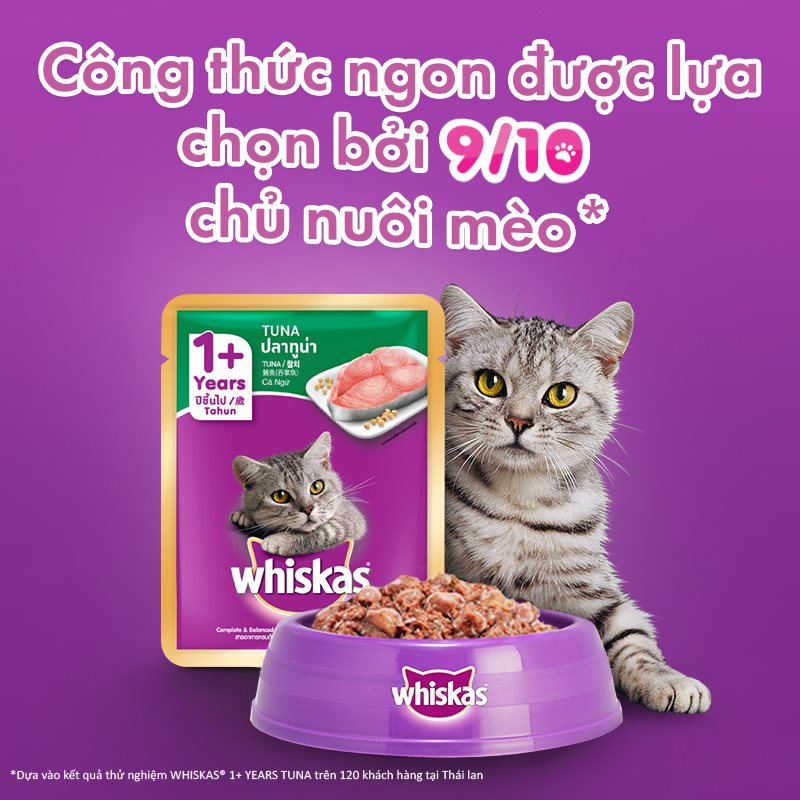 Pate mèo - pate Whiskas đủ vị - 85g/gói