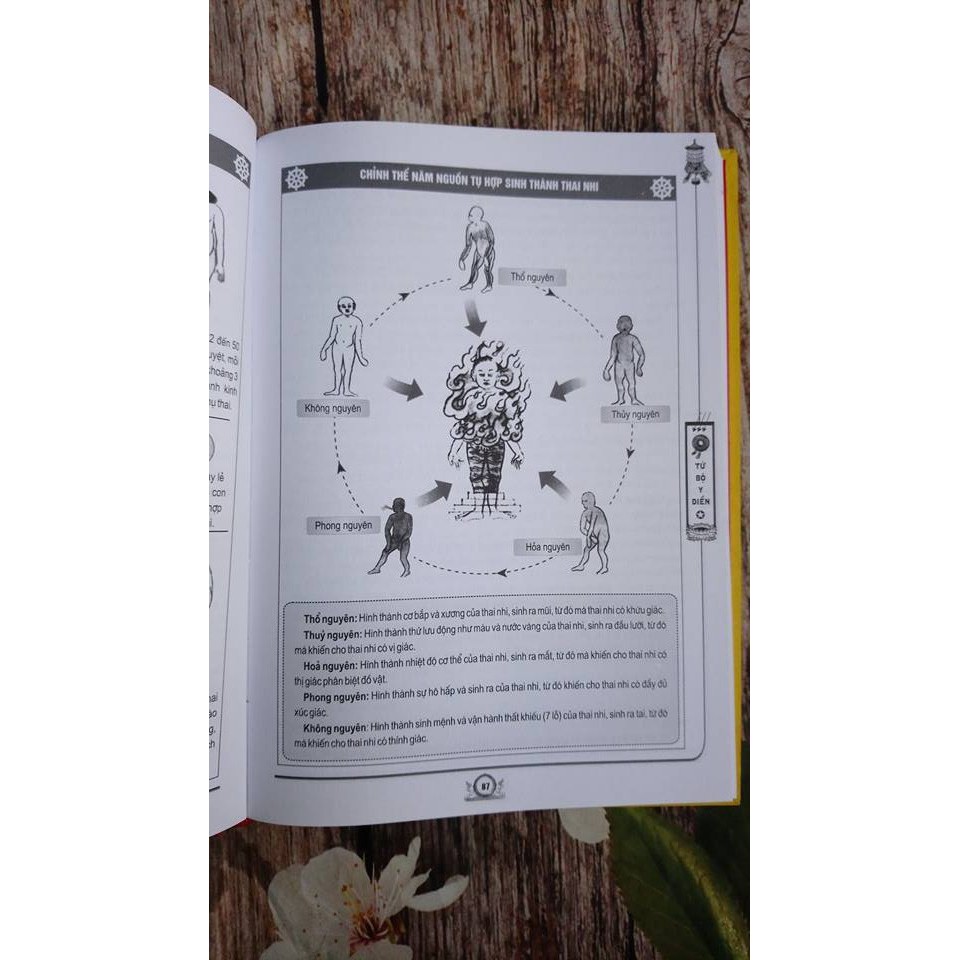 Tứ Bộ Y Điển (Tập 2) - Y Lý Và Dưỡng Sinh