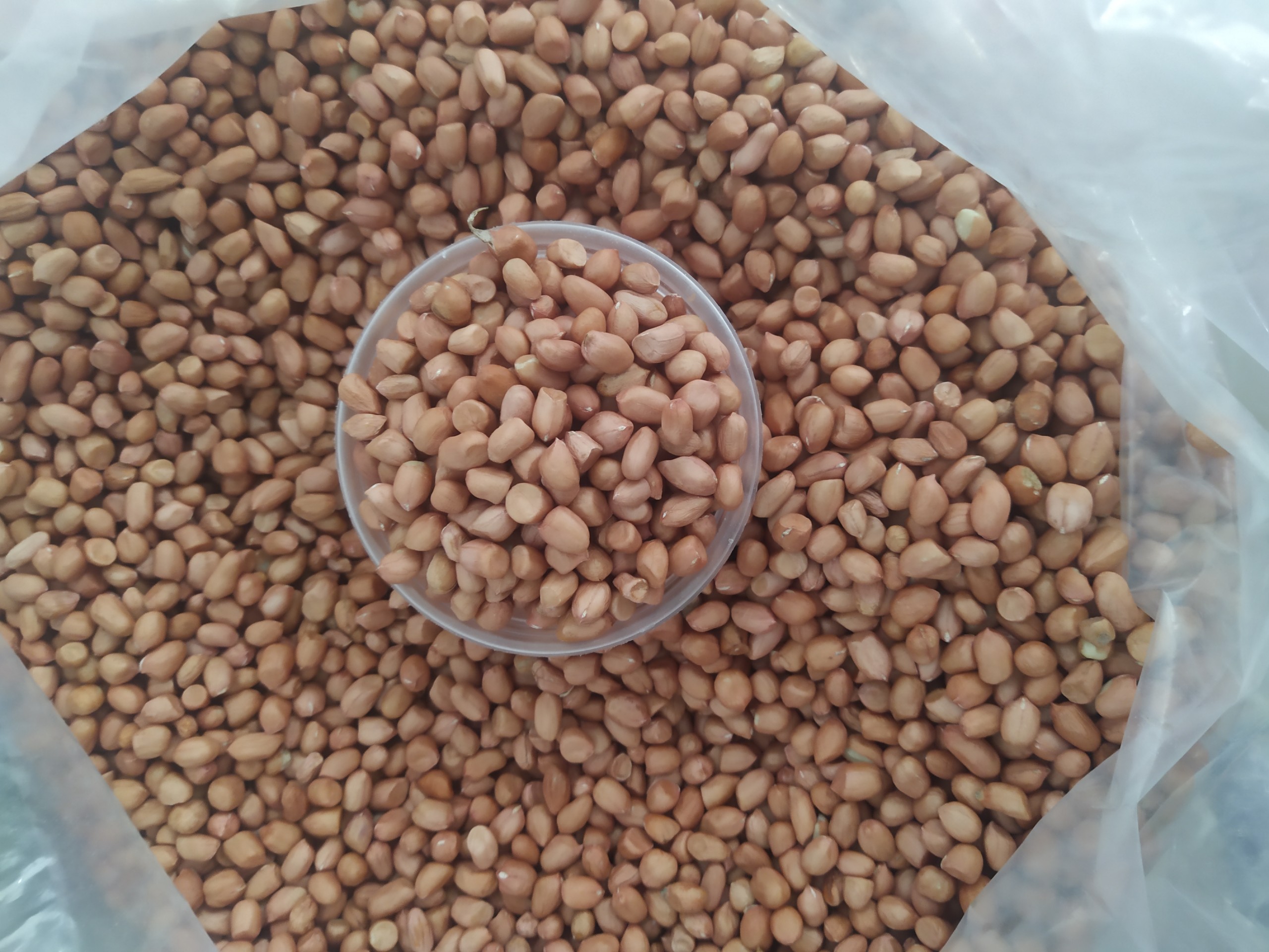 1kg đậu phộng sống (đậu lạc) đã bóc vỏ - sạch 100%