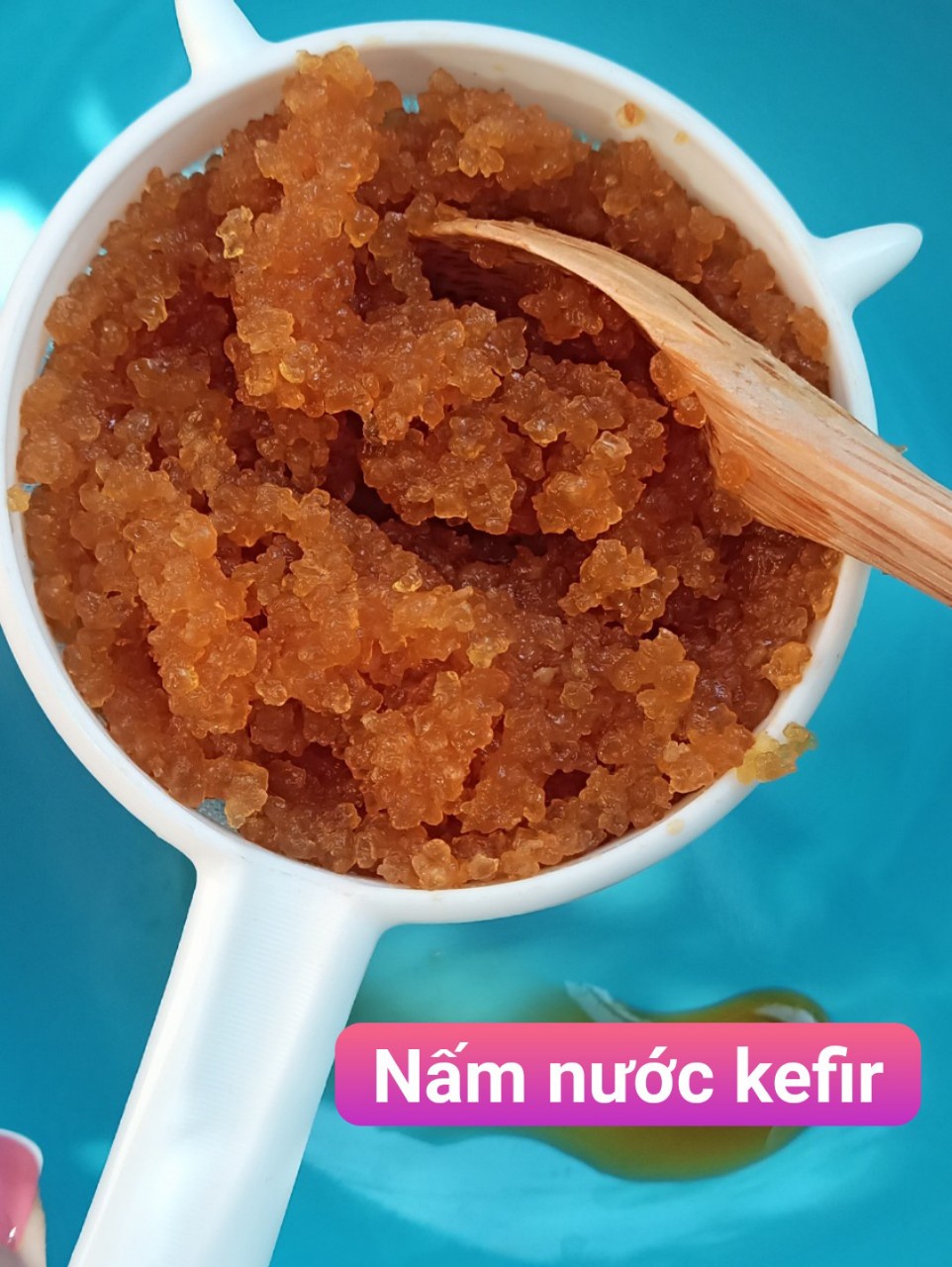 Nấm nước kefir làm kefir nước dừa, đường & đồ uống có gas kl 10g