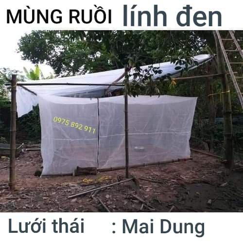 mùng nuôi ruồi lính đen 4x2x2