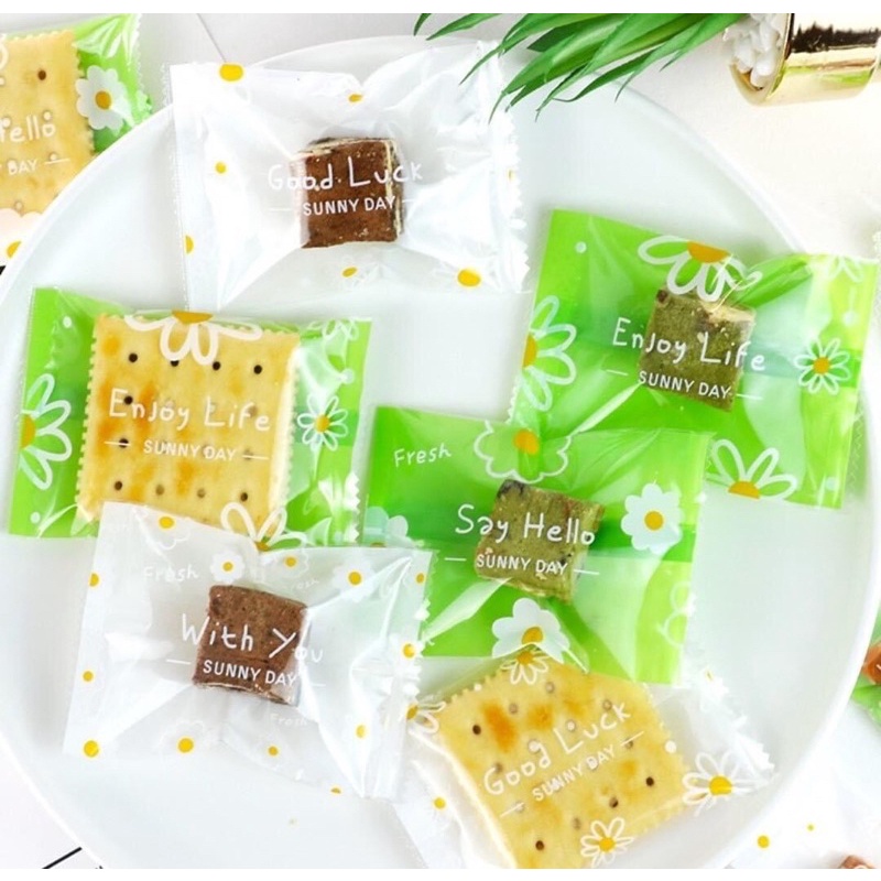 TÚI BÁNH COOKI