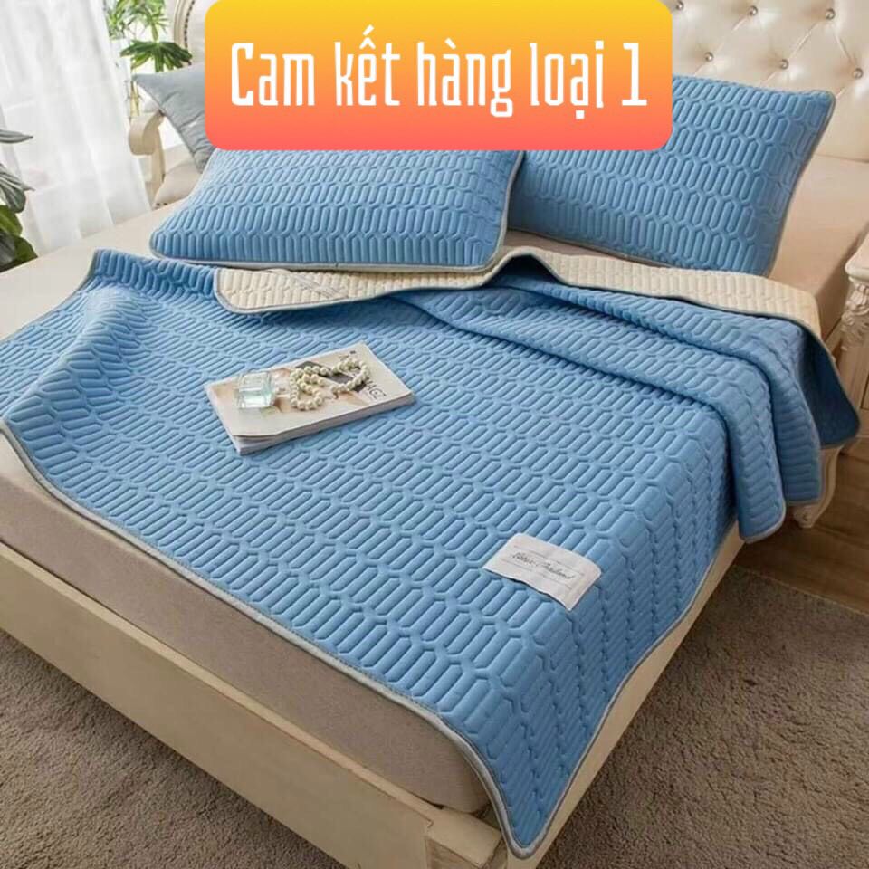 Chiếu điều hòa 1M6 , 1M8 TENCEL mủ cao su non thiên nhiên loại cao cấp.Cam