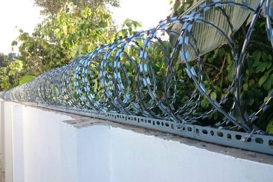 Dây thép gai lưỡi dao