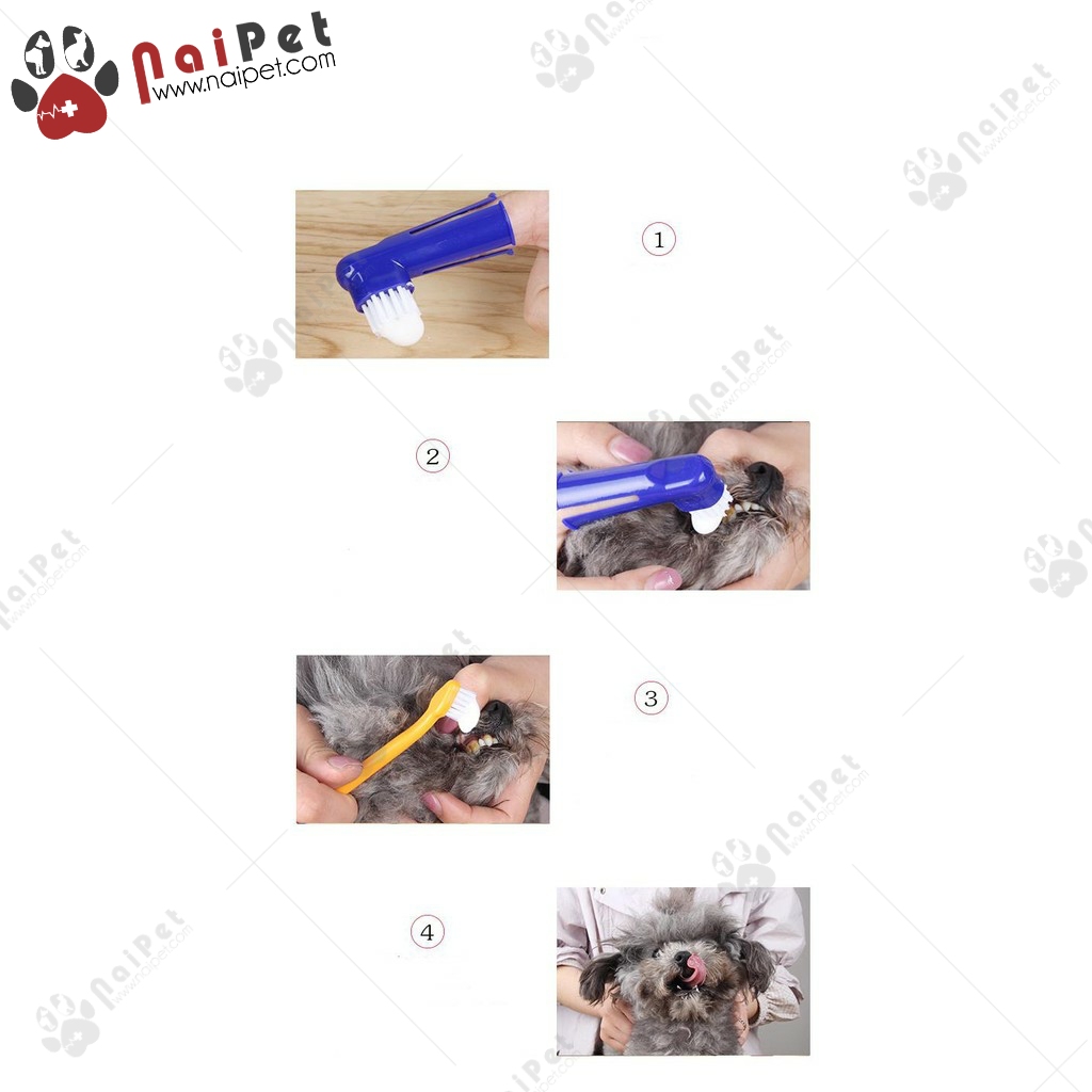 Bộ Đánh Răng Kem Đánh Răng Bàn Chải Đánh Răng Chó Mèo Pet Joothpaste
