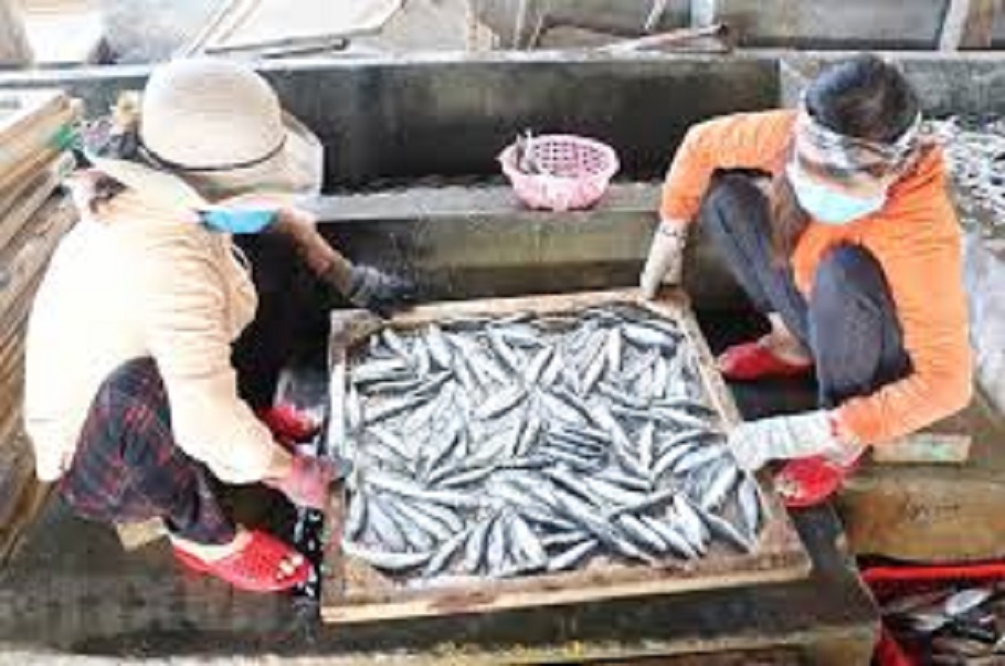 1kg cá nục khô mặn