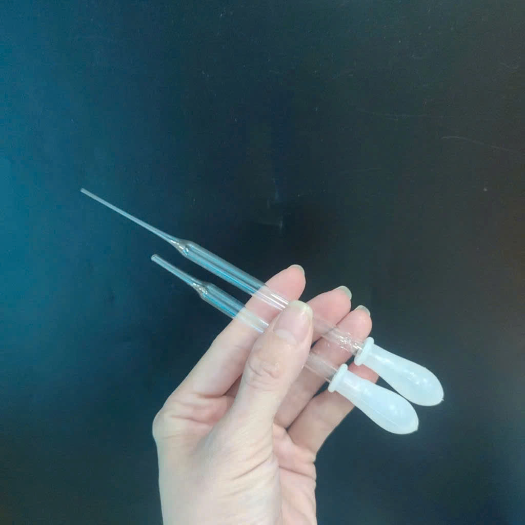 [HCM]Pipet paster ống hút thủy tinh đã có núm bóp