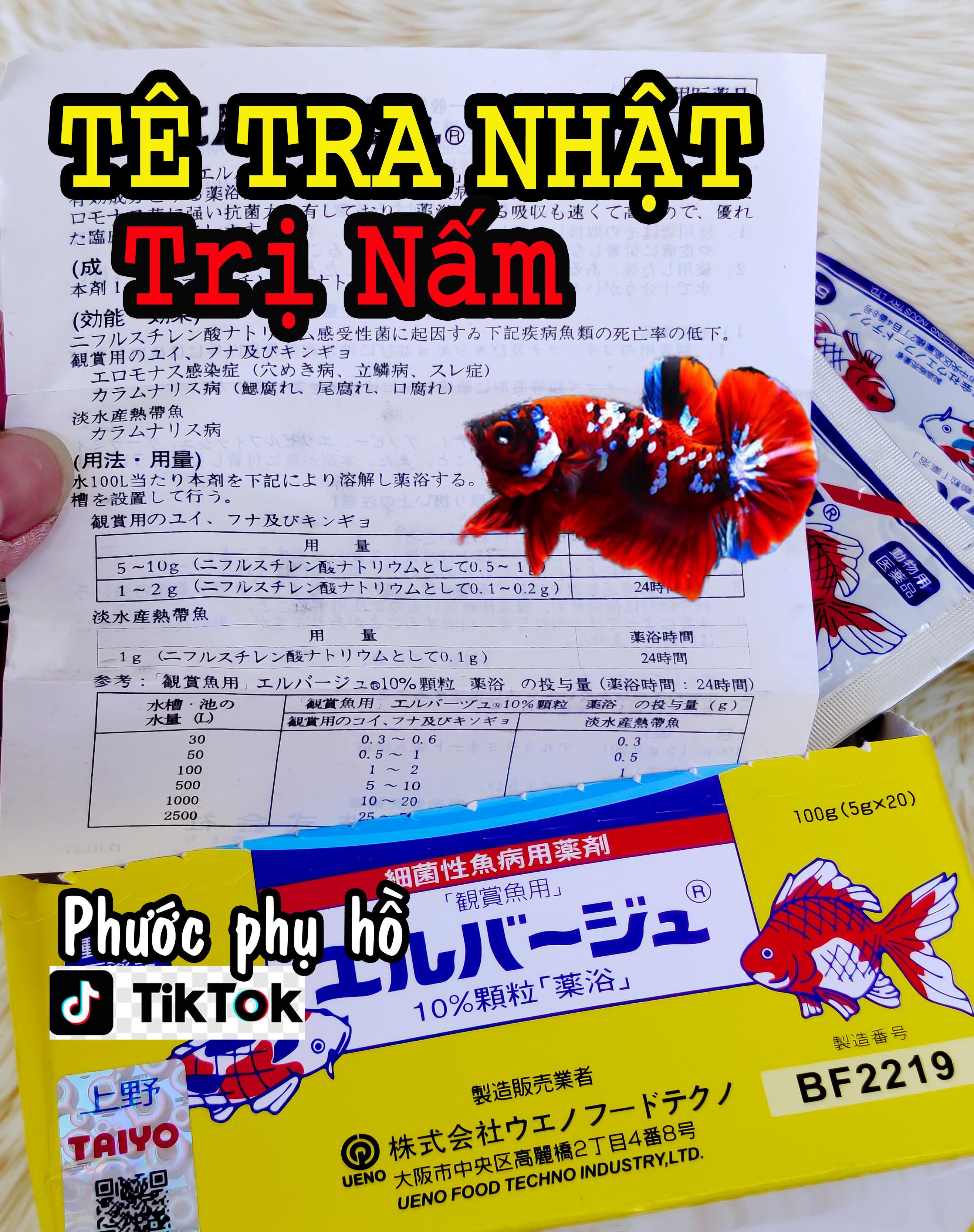 Tetra Nhật trị Nấm cá Betta . 7 Màu