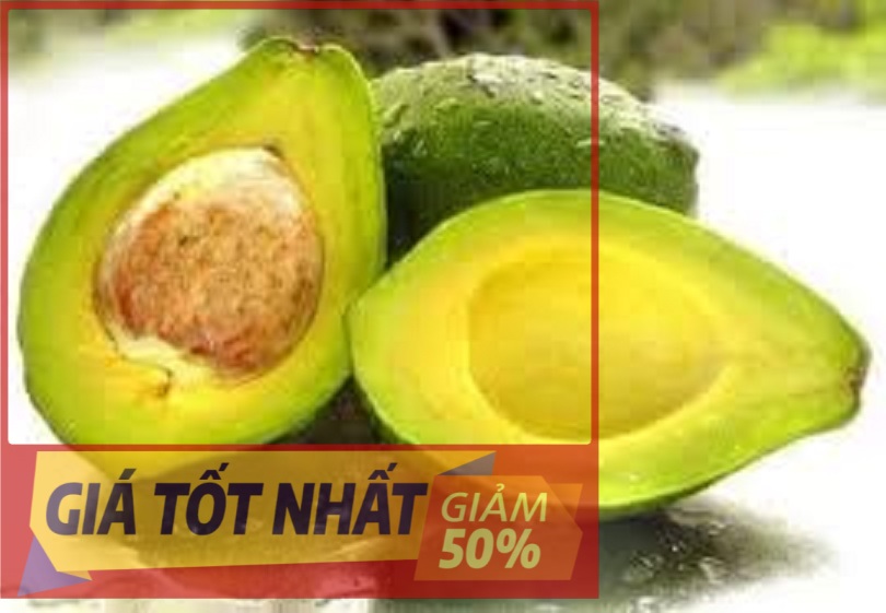 (HÀNG MỚI) Cây BƠ BOOTH ghép, cây giống F1 to khỏe, siêu quả, giá trị kinh tế cao