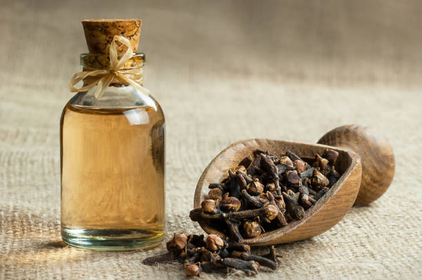 Cloves - Long - Đinh Hương Lawng (50g - 100g)