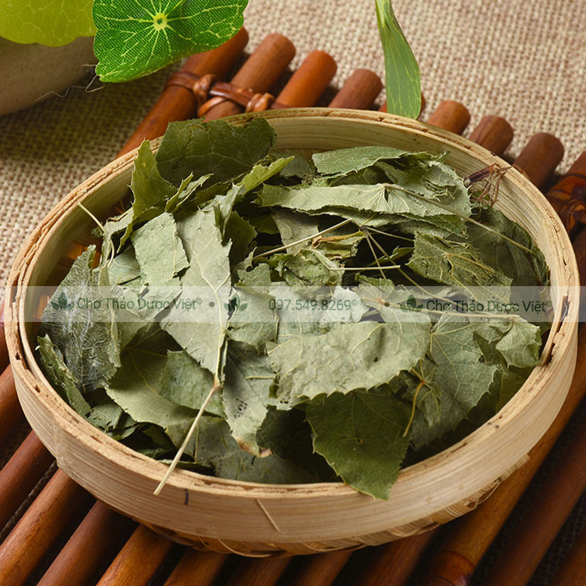 Lá dâm dương hoắc khô 1kg, trà dâm dương, lá đẹp, thơm, sạch - Chợ Thảo Dược Việt