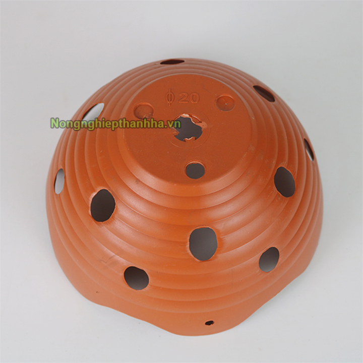 Chậu nhựa trồng lan phi 20cm - CN25