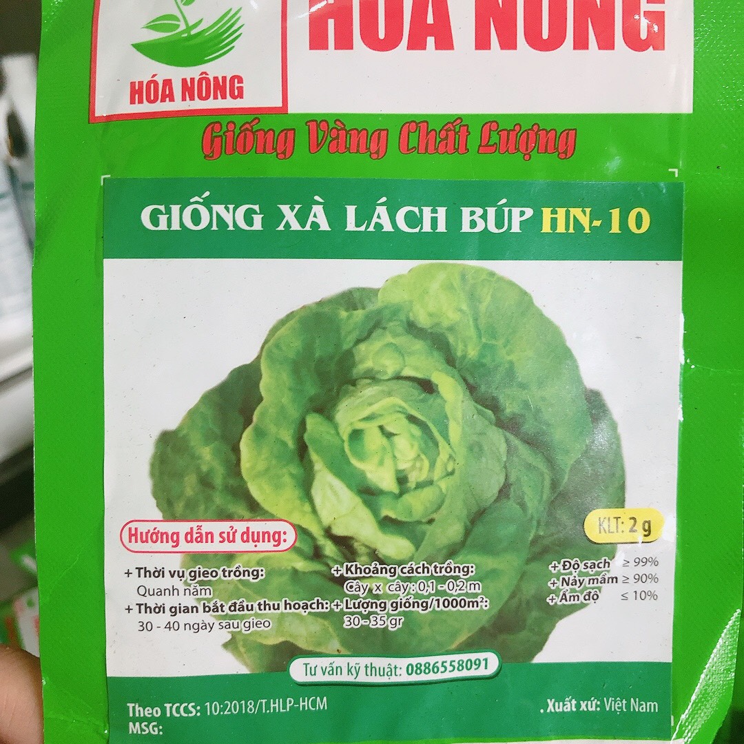 Rau xà lách mỡ hn