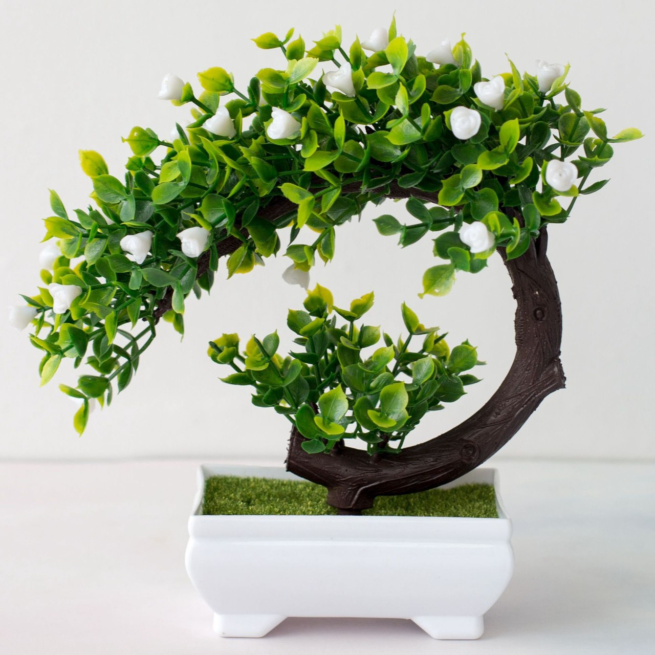 [HCM]Chậu Cây Bonsai Phú Quý - Vạn Sự Như Ý