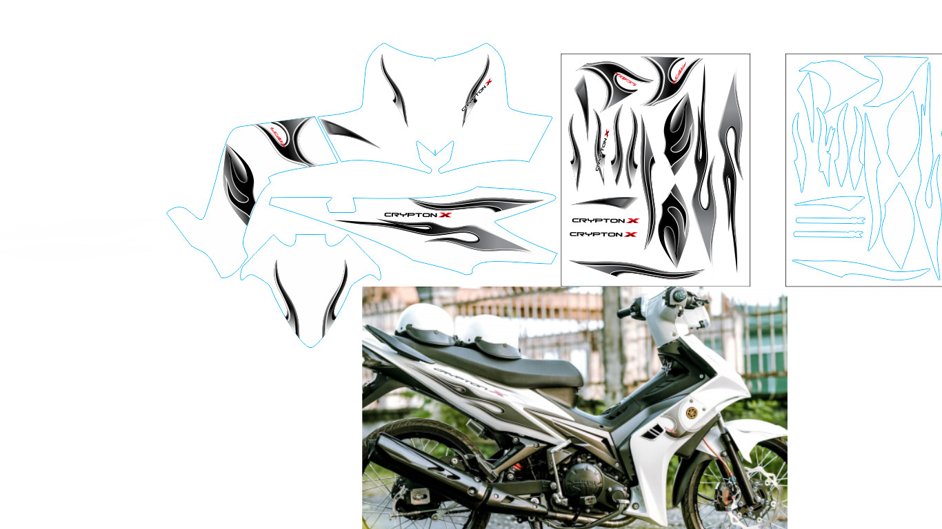 TEM EXCITER 2010 CHẾ ZIN TRẮNG ĐEN