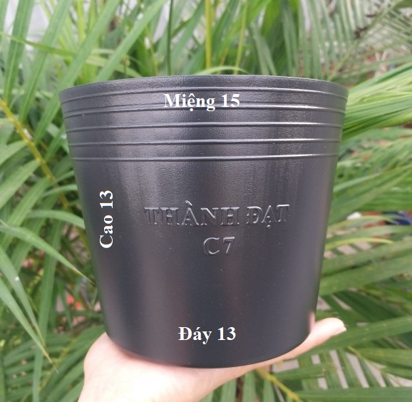 Combo 10 chậu C7 trồng hoa cây cảnh