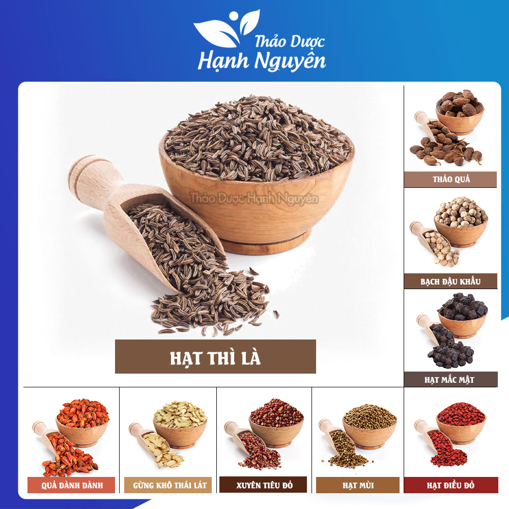 Hạt thì là Ấn Độ 100g (Cumin seed, gia vị thơm ngon cho món ăn) - Thảo Dược Hạnh Nguyên