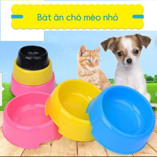 bát ăn cho chó mèo