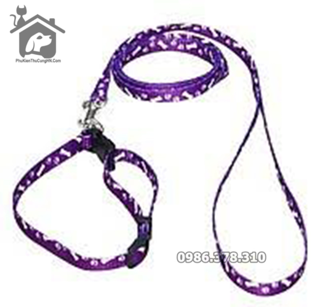 Dây dắt kèm vòng cổ 1 lớp 1cm cho thú cưng