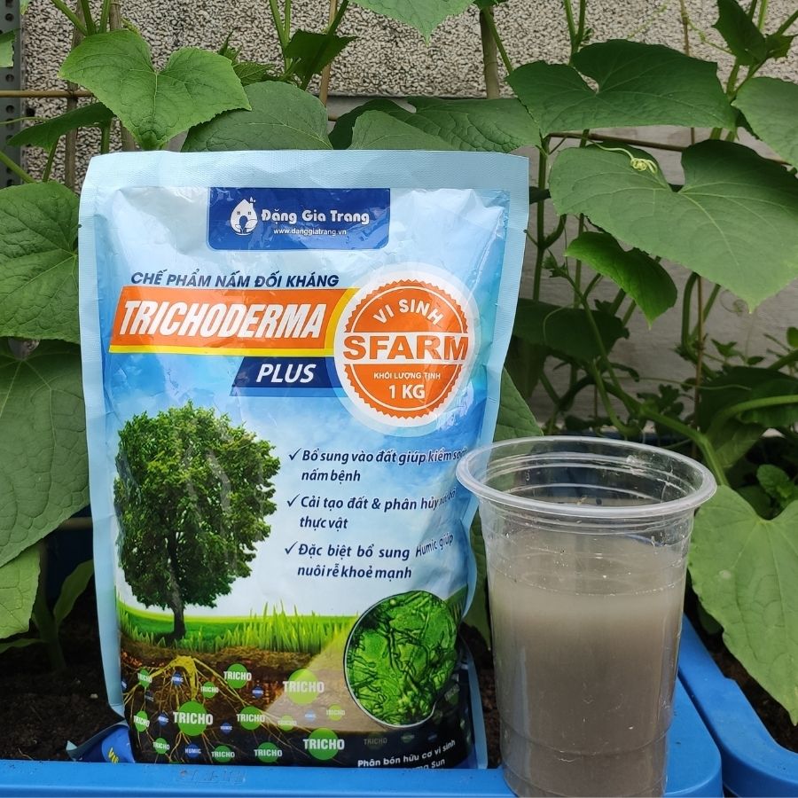 CHẾ PHẨM NẤM ĐỐI KHÁNG TRICHODERMA PLUS SFARM ( GÓI 1KG) KIỂM SOÁT NẤM - Chính Hãng