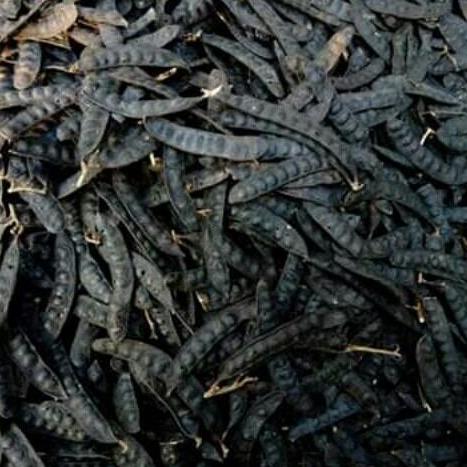 200G QUẢ BỒ KẾT KHÔ LOẠI ĐẸP