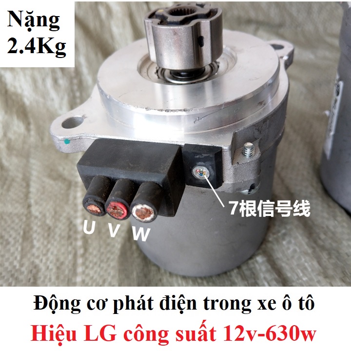 Động cơ phát điện 36v-300w, 60v-600w