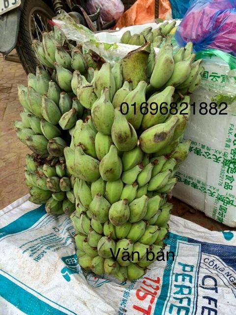 Quả Chuối rừng khô Tây Bắc 1kg