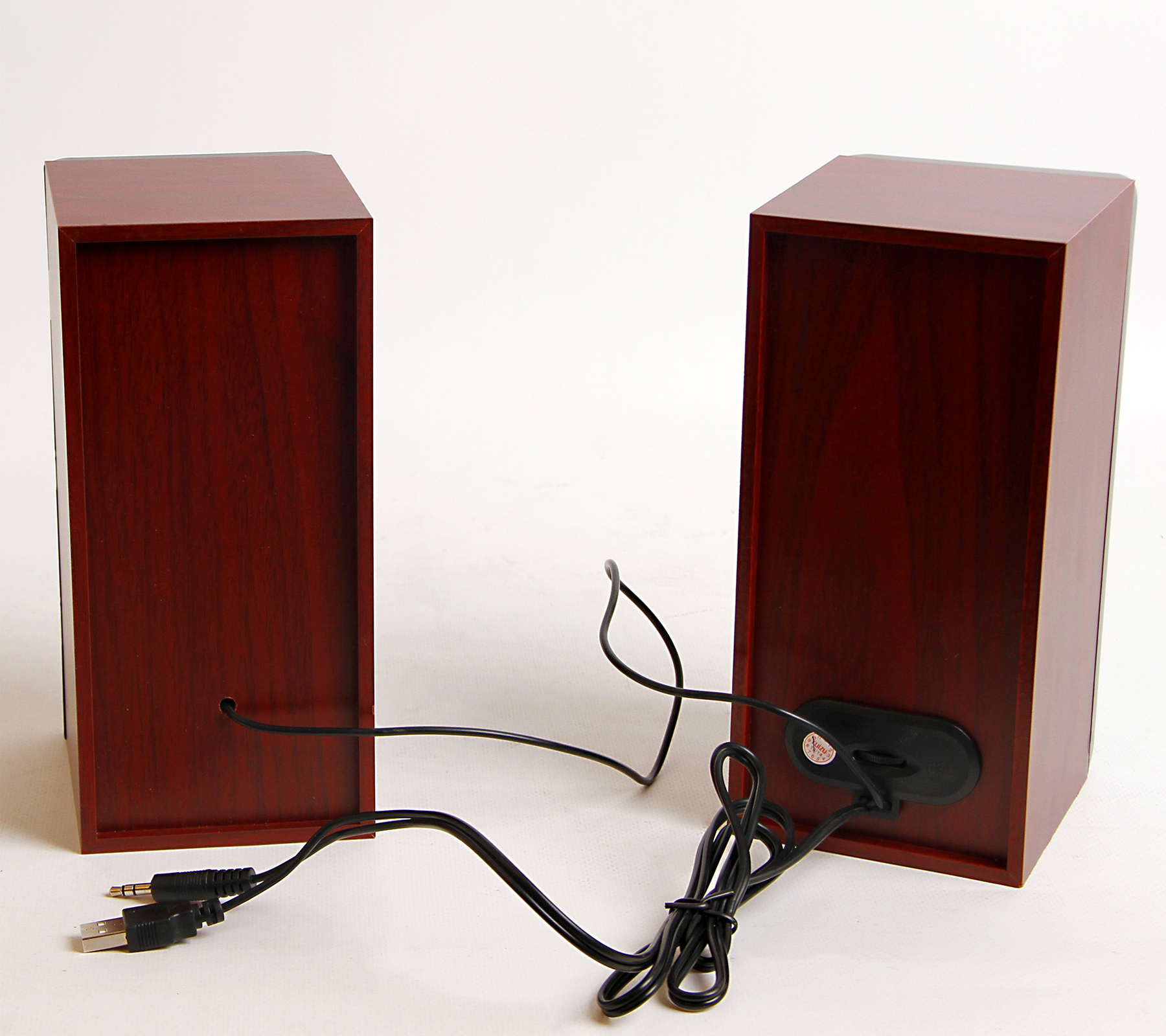 [HCM]Loa 2.0 Ruizu RS-810