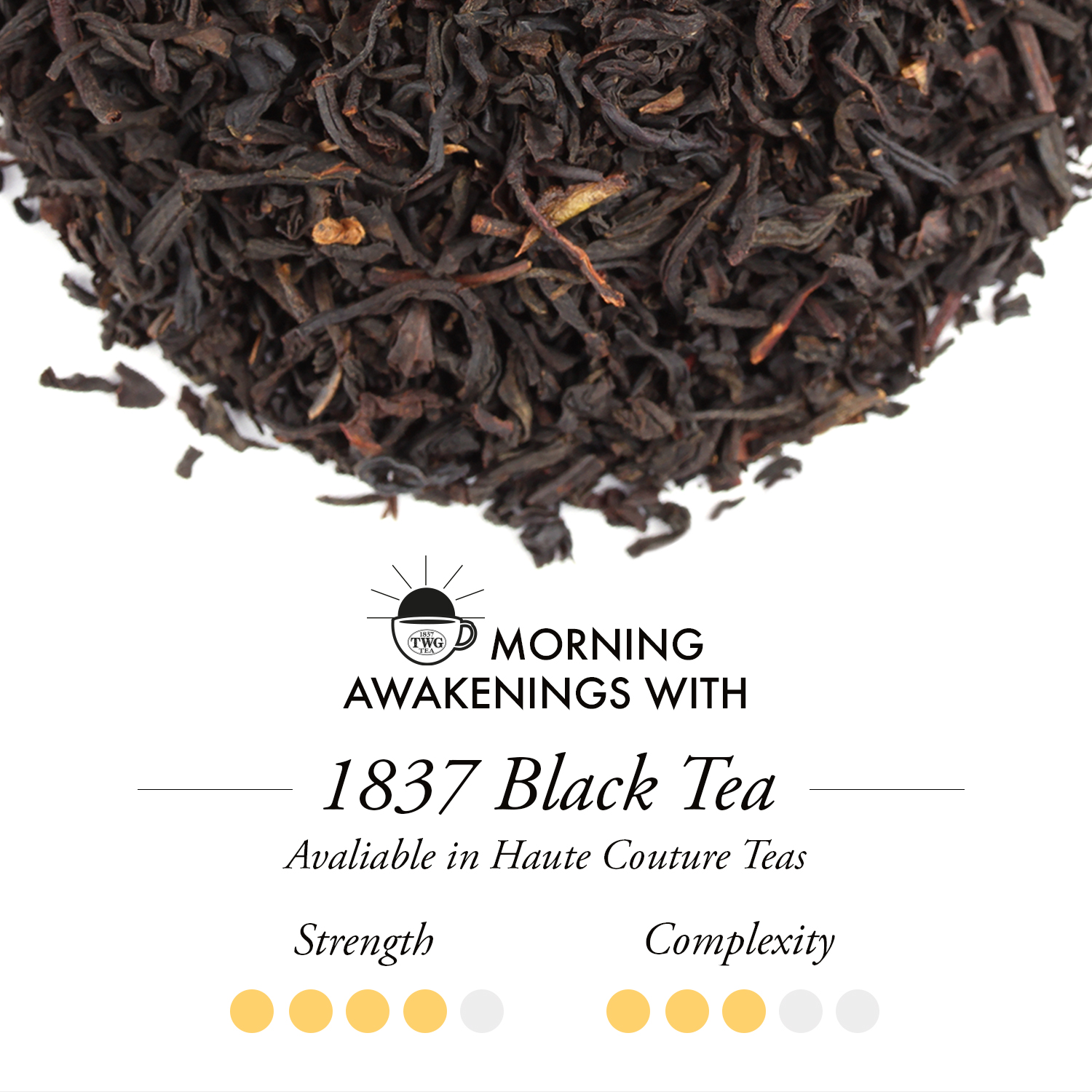 Trà TWG Tea - 1837 Black Tea (20g/100g) | Trà Đen