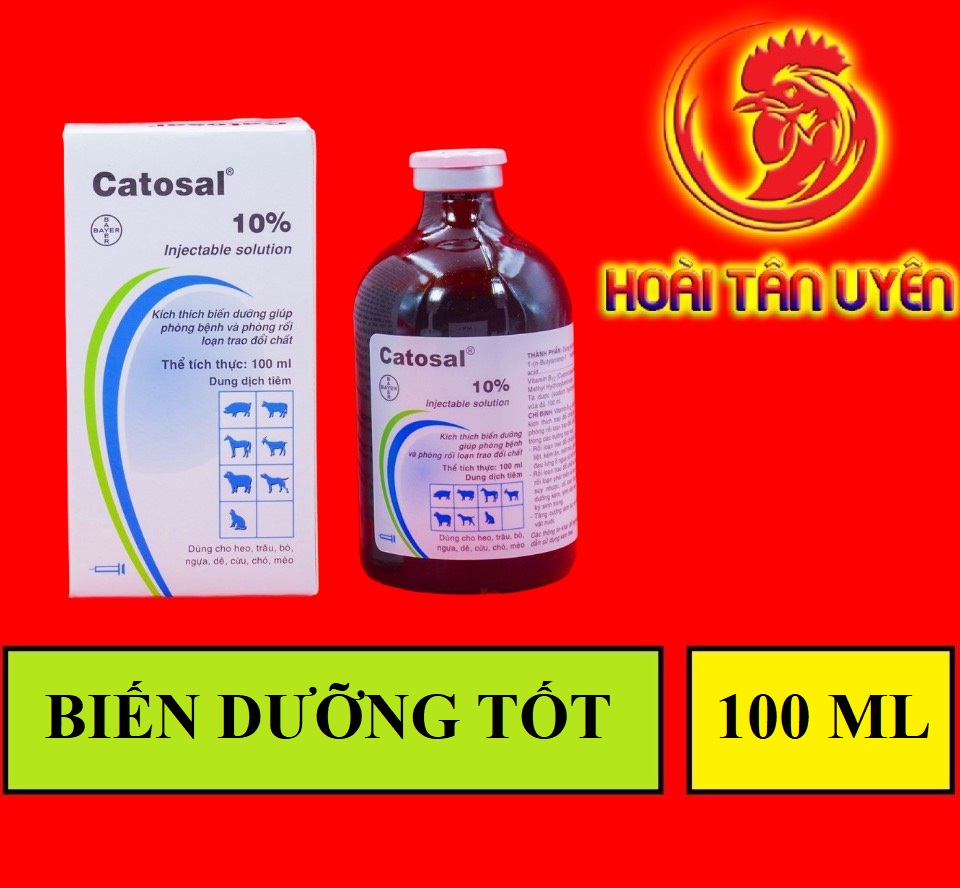 CATOSAL THÁI LAN thuốc bổ cho gà chọi, cho mèo