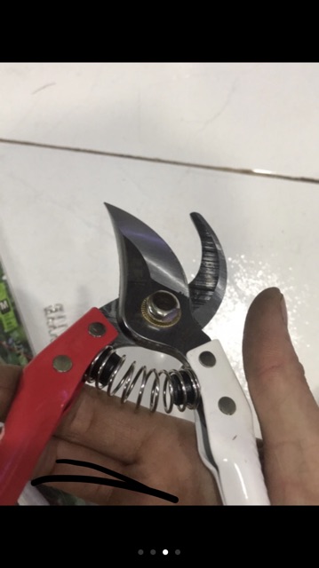 Kéo tỉa cây 20cm