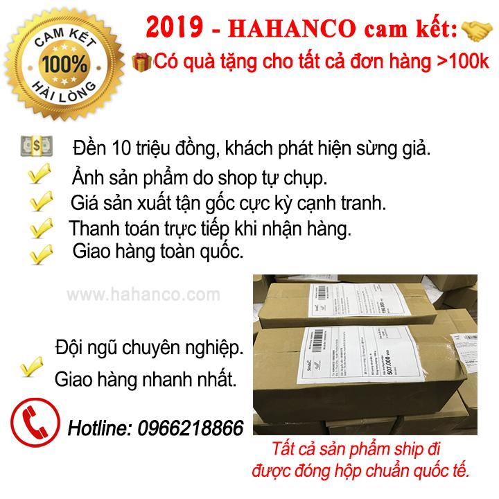Lược Sừng xuất Nhật - Múi bưởi nhỏ gọn có thể bỏ túi (Size: S- 11cm) COH181 - Horn Comb of HAHANCO