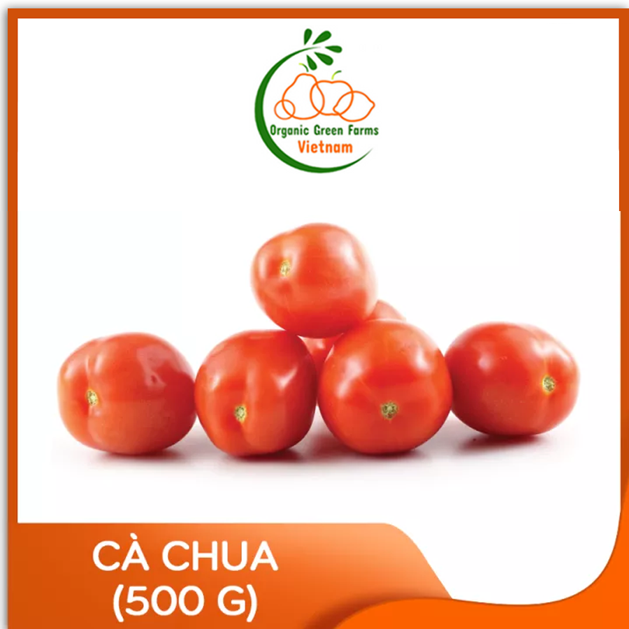 [OGF] - Cà chua Đà Lạt (500g) - Giao nhanh HCM