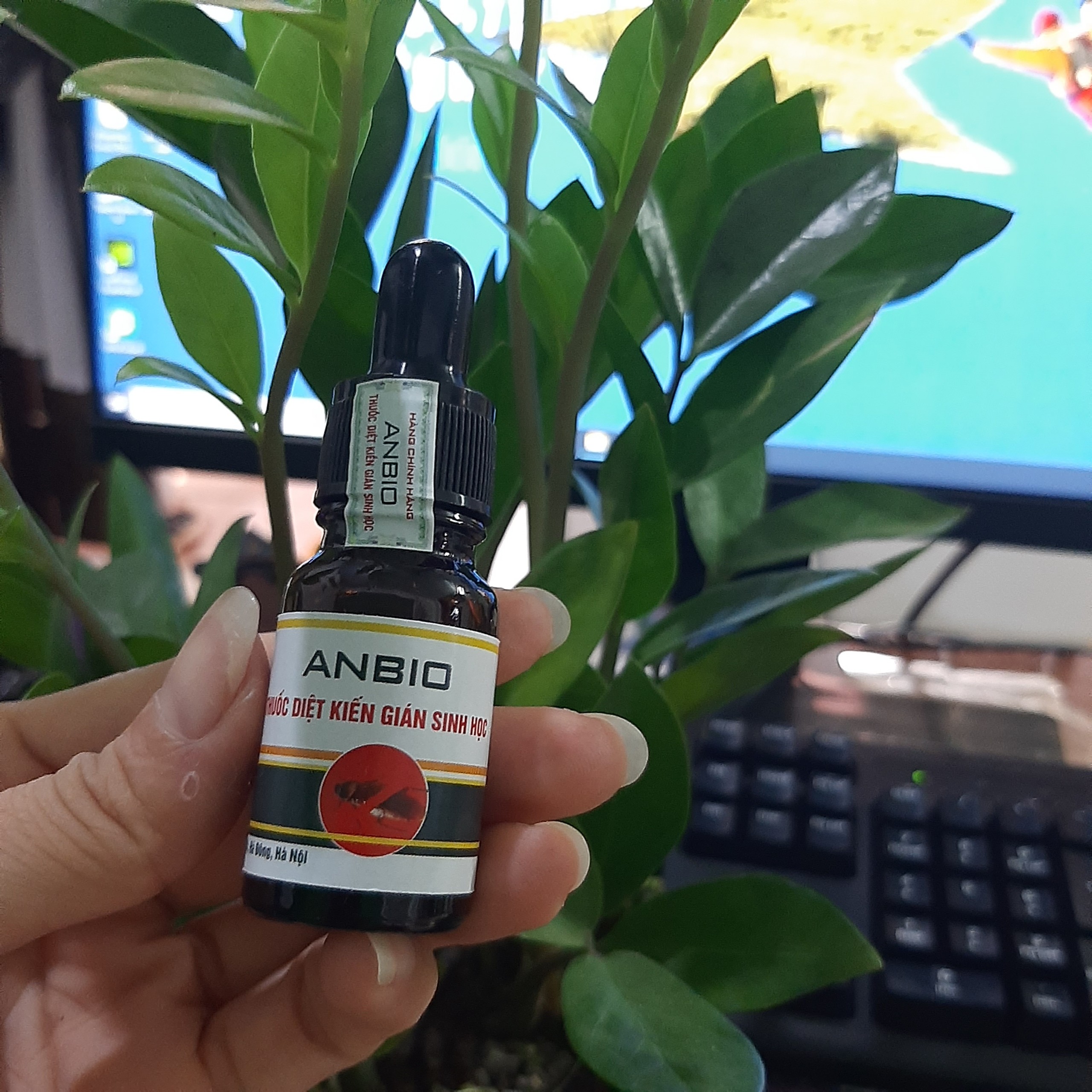 Combo 3 lọ Thuốc diệt Kiến Gián Anbio