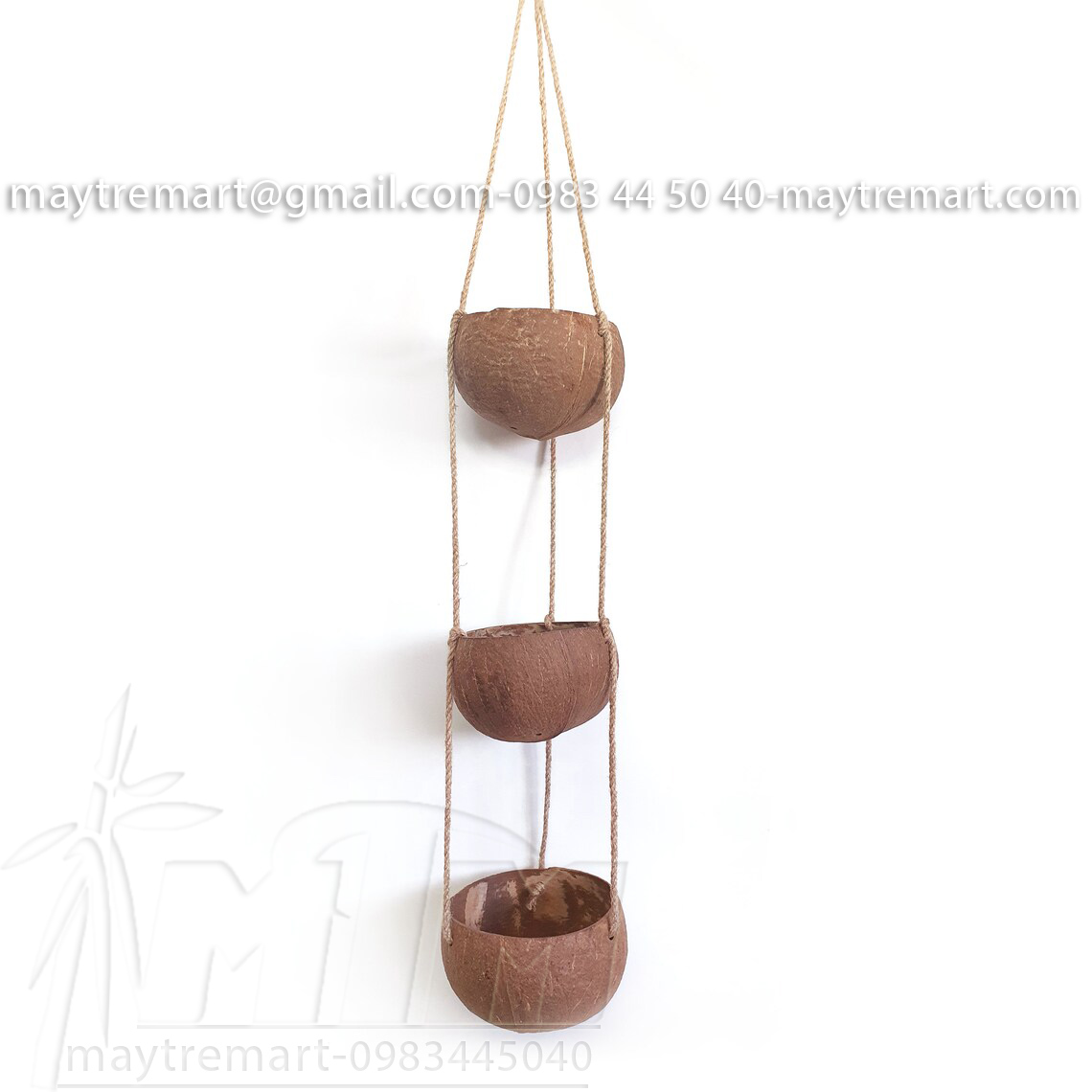 Chậu gáo dừa, dây gáo dừa trồng cây
