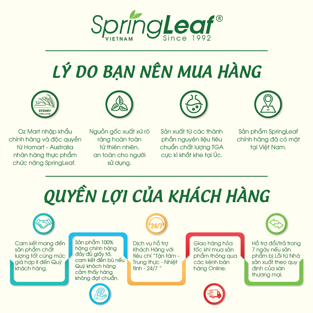 [Quà tặng] Set 06 bao lì xì SpringLeaf Tết 2024 03 màu