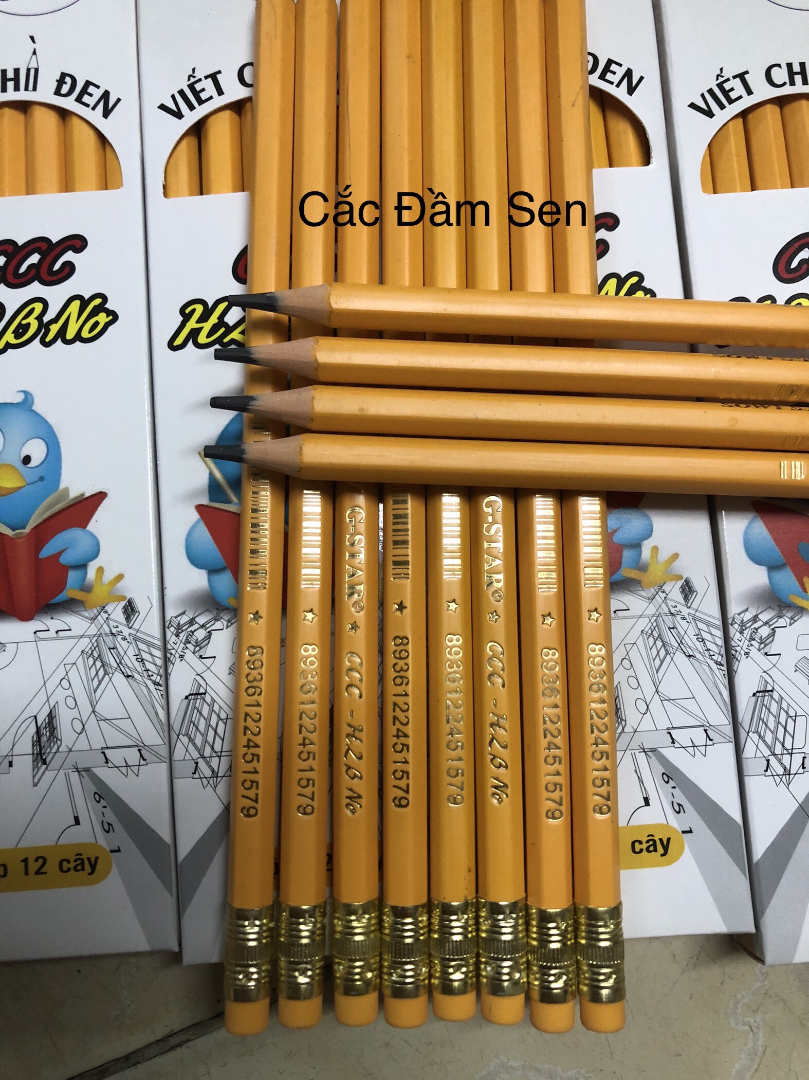 bút chì 2B hàng chuốt sẵn hộp 12 cây