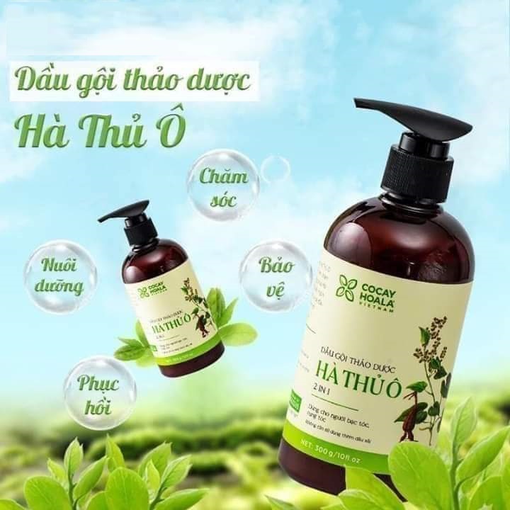Combo 2 chai dầu gội hà thủ ô 300ml - dầu gội đầu - dầu gội đầu chính hãng - dầu gội đầu nhập khẩu - dầu gội đầu thái lan - ngăn rụng tóc/phục hồi hư tổn/ suôn mượt óng ả - dầu gội sạch gàu