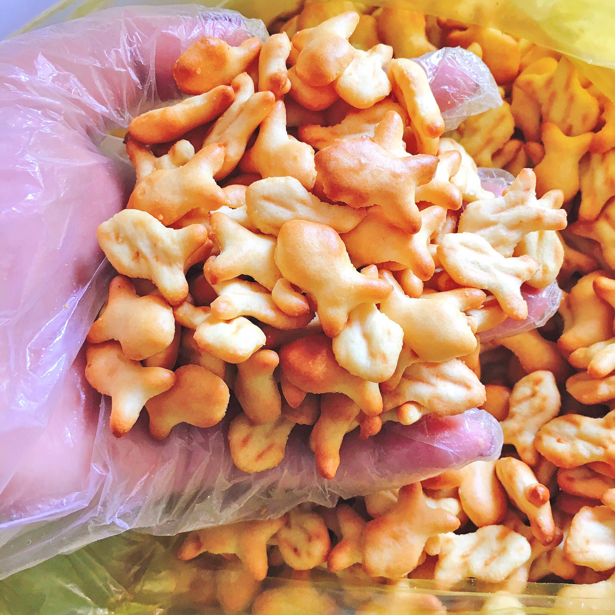 Bánh Quy Mặn Con Cá 100gr